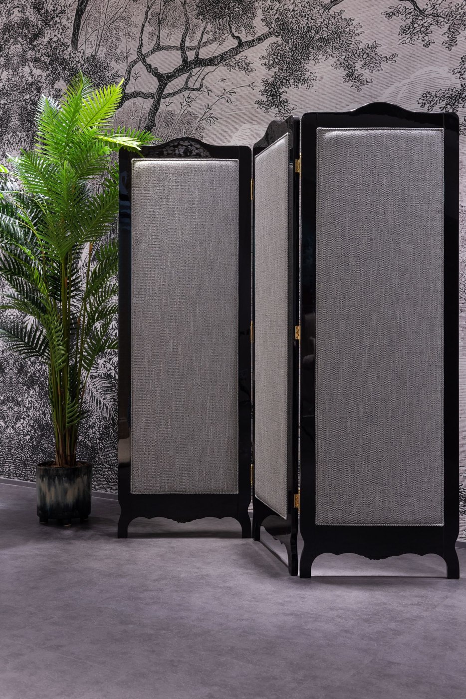 Room divider near potted plant in apartment